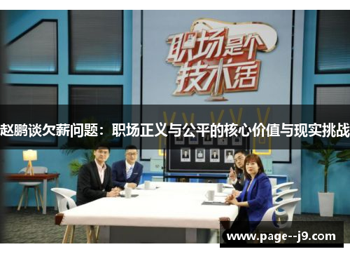 赵鹏谈欠薪问题：职场正义与公平的核心价值与现实挑战
