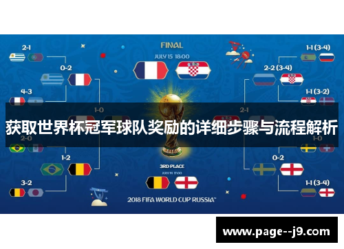 获取世界杯冠军球队奖励的详细步骤与流程解析