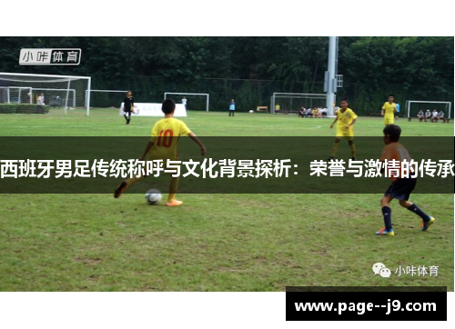 西班牙男足传统称呼与文化背景探析：荣誉与激情的传承